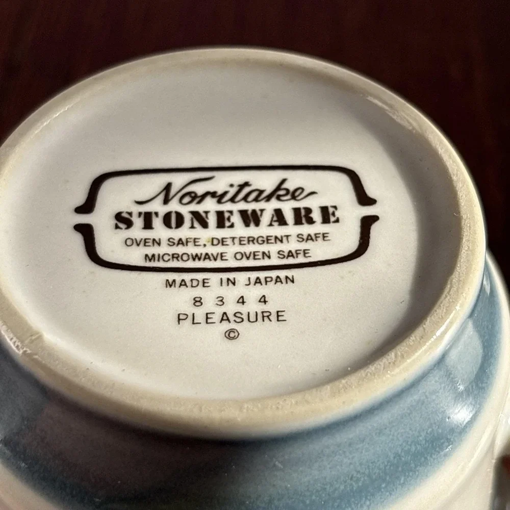 Noritake PLEASURE Stoneware Flat Cup &‎ Saucer Blue Floral JAPAN